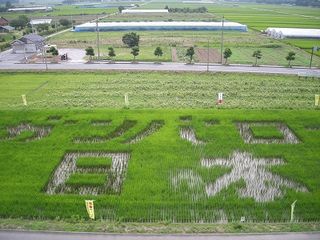 クリックすると新しいウィンドウで開きます